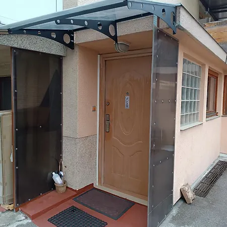 Kopelija *